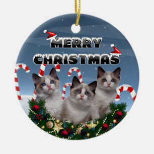 Ornamento De Cerâmica Gatinhos do Feliz Natal na terra do bastão de