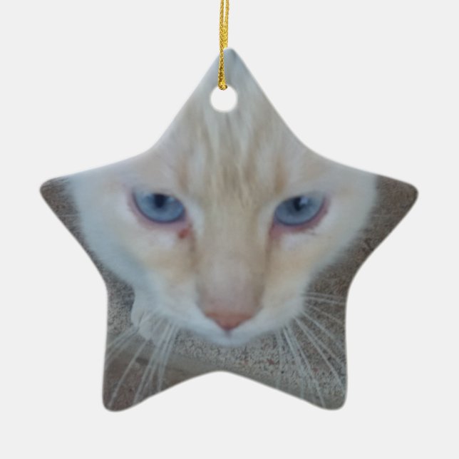 Ornamento De Cerâmica Gato (Frente)