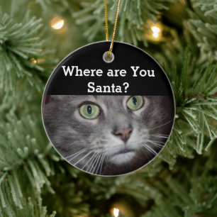 Ornamento De Cerâmica Gato