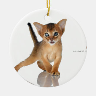 Ornamento De Cerâmica Gato Abyssinian