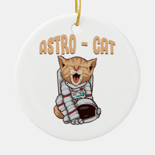 Ornamento De Cerâmica Gato Astro