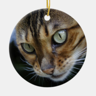 Ornamento De Cerâmica Gato Bengala Gasto
