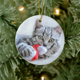 Ornamento De Cerâmica Gato Bonito e Chapéu Papai Noel