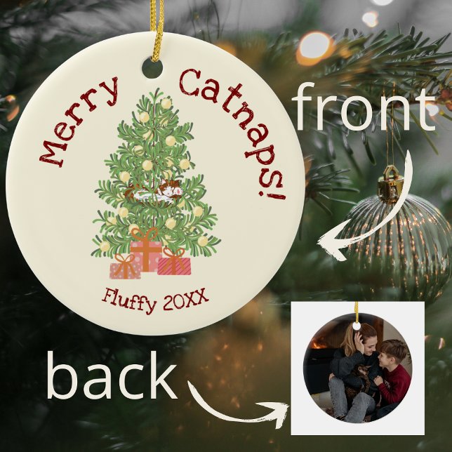 Ornamento De Cerâmica Gato bonito nas catapnatas de Feliz de árvores de  (Criador carregado)