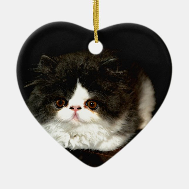 Ornamento De Cerâmica Gato branco-preto-branco-bonito (Frente)