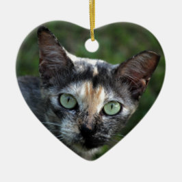 Ornamento De Cerâmica Gato Cinza Marrom Branco com Olhos Verdes