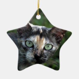 Ornamento De Cerâmica Gato Cinza Marrom Branco com Olhos Verdes