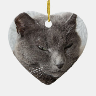 Ornamento De Cerâmica Gato cinzento