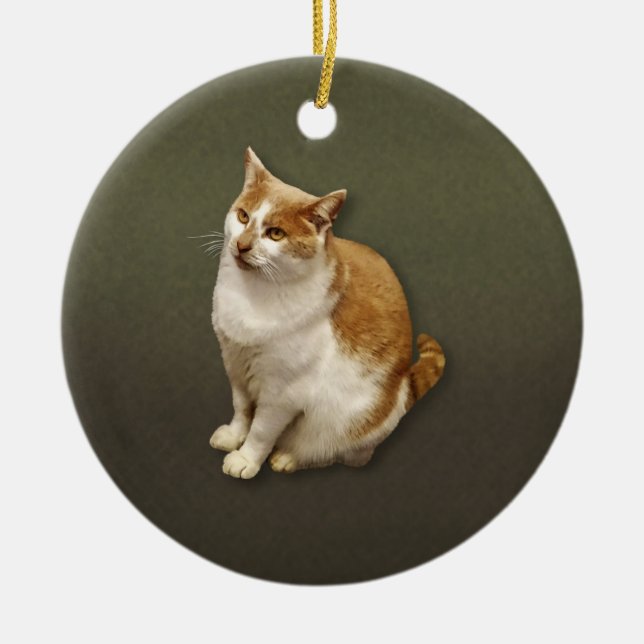 Ornamento De Cerâmica Gato de Cabelo Curto Laranja e Branco (Frente)