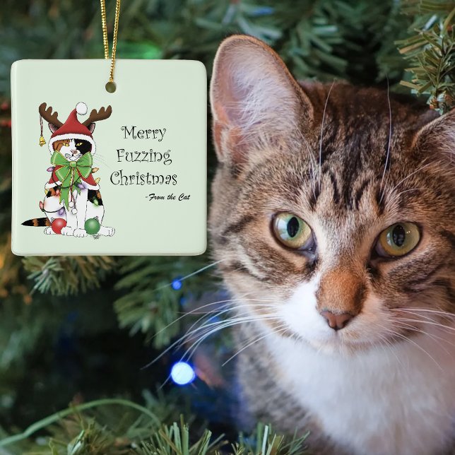 Ornamento De Cerâmica Gato de Natal desfocado com feliz (Criador carregado)