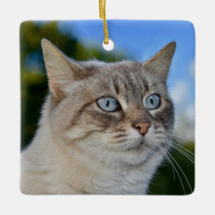 Ornamento De Cerâmica Gato de Ponto Lynx com Olhos Azuis