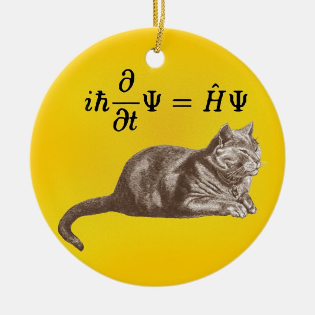 Ornamento De Cerâmica Gato de Schrodinger (Frente)