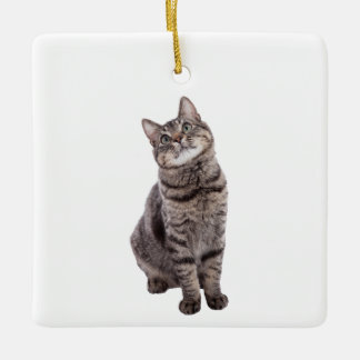 Ornamento De Cerâmica Gato de Tabby