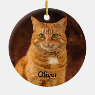 Ornamento De Cerâmica Gato de Tabby Laranja Personalizado