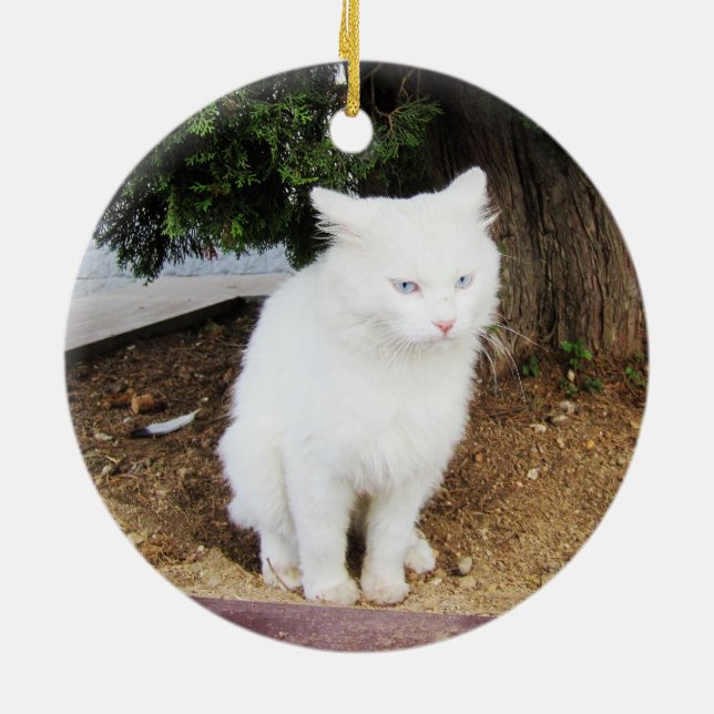 Ornamento De Cerâmica Gato defecando (Traseira)