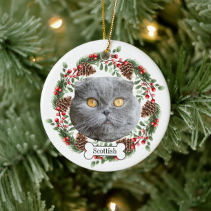 Ornamento De Cerâmica gato-do-mato-escocês