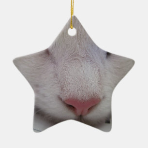 Ornamento De Cerâmica Gato Dormindo