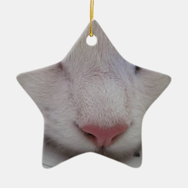 Ornamento De Cerâmica Gato Dormindo (Frente)