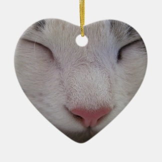 Ornamento De Cerâmica Gato Dormindo
