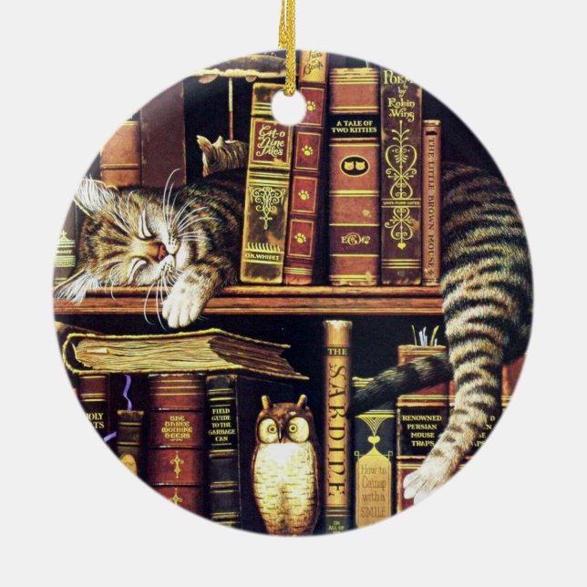 Ornamento De Cerâmica Gato dormindo em bibliotecário (Traseira)