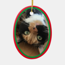 Gato Em Memória Das Férias De Natal Vermelho Verde