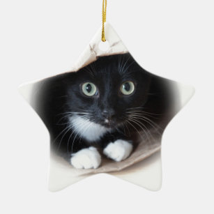 Ornamento De Cerâmica Gato em um saco