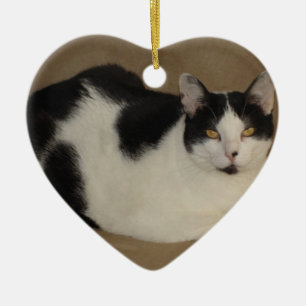 Ornamento De Cerâmica Gato em um sofá