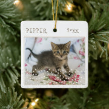 Gato Fofo Pet 2 Fotos Padrão de Estrela Natal