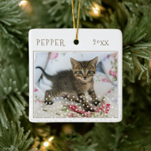 Ornamento De Cerâmica Gato Fofo Pet 2 Fotos Padrão de Estrela Natal