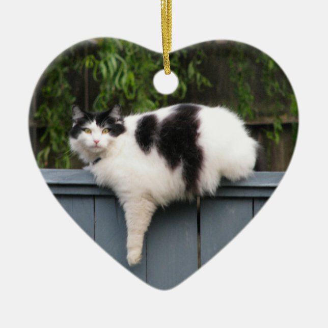 Ornamento De Cerâmica Gato gordo na cerca (Frente)