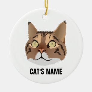 Ornamento De Cerâmica Gato Malhado Personalizado