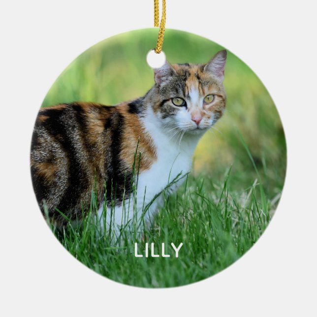 Ornamento De Cerâmica Gato marrom e branco (Frente)