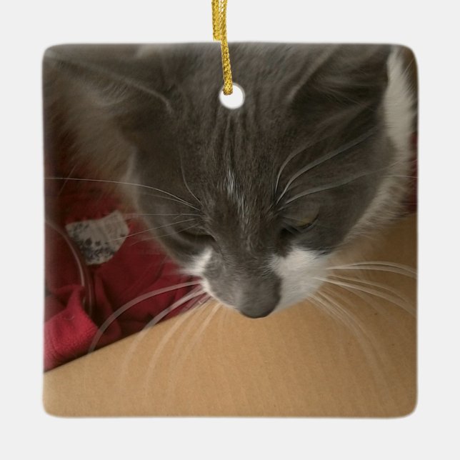 Ornamento De Cerâmica Gato na caixa (Frente)