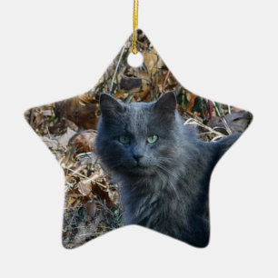 Ornamento De Cerâmica Gato na floresta