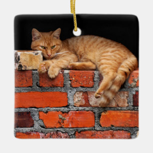 Ornamento De Cerâmica Gato na Parede Brick