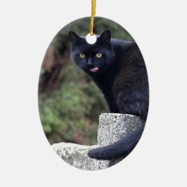 Ornamento De Cerâmica Gato Negro (Frente)