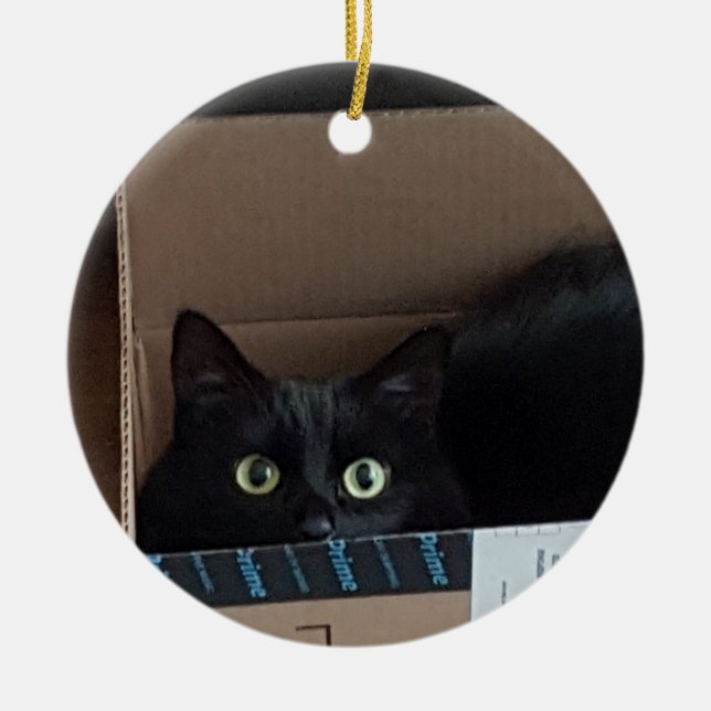 Ornamento De Cerâmica Gato numa caixa (Frente)