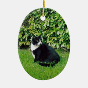 Ornamento De Cerâmica Gato preto e branco