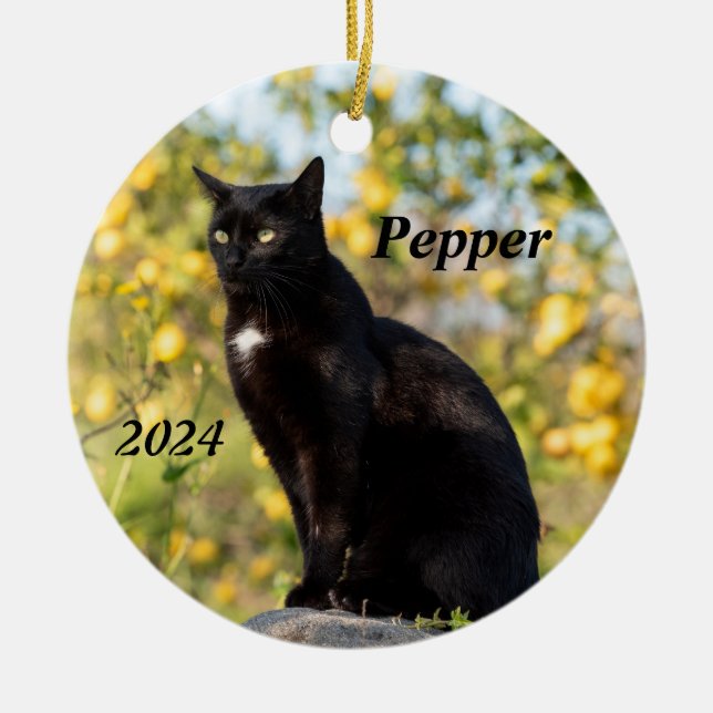 Ornamento De Cerâmica Gato Preto Personalizado (Frente)