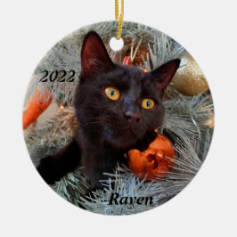 Ornamento De Cerâmica Gato Preto Personalizado e Reproduzido na Árvore d