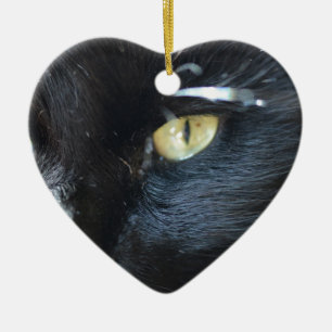 Ornamento De Cerâmica Gato que Eyeing o