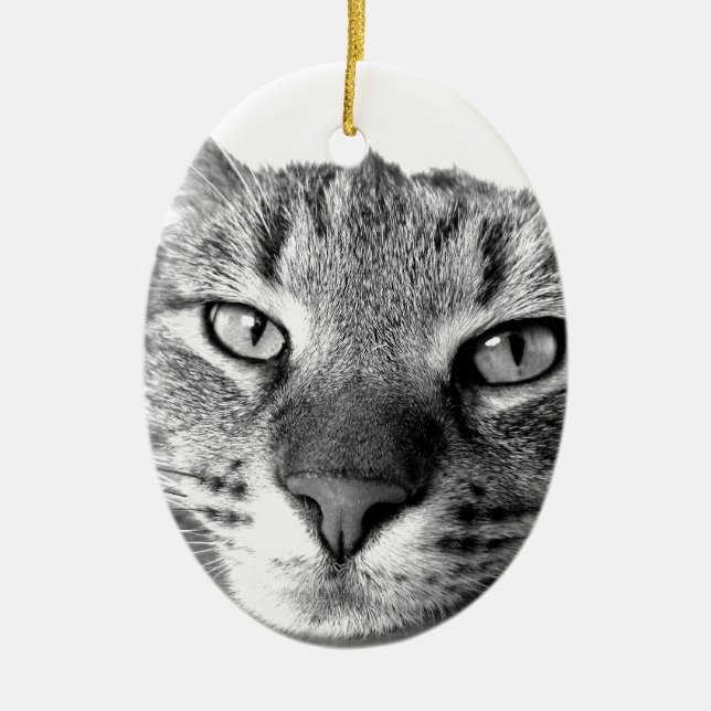 Ornamento De Cerâmica Gato Sonolento (Frente)
