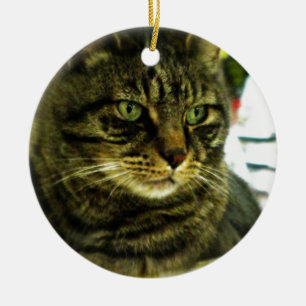 Ornamento De Cerâmica Gato Tabby de Olhos Verdes