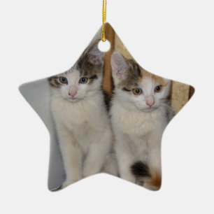 Ornamento De Cerâmica Gatos De Bebê