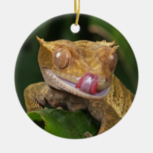 Ornamento De Cerâmica Gecko Lizard