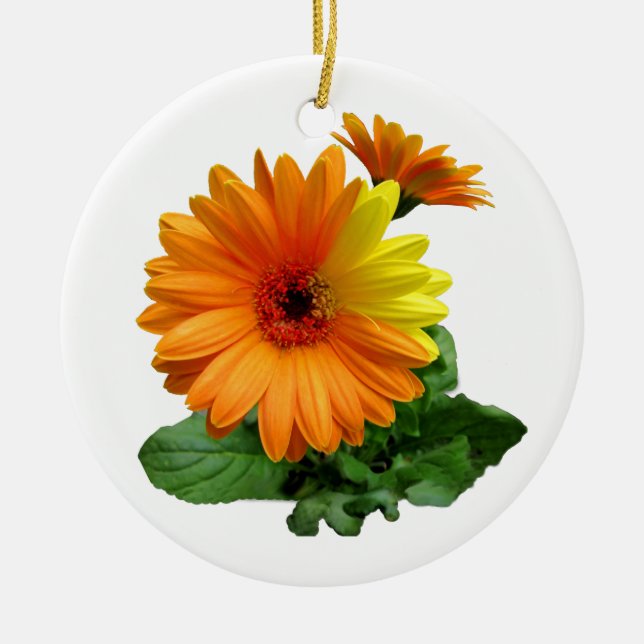 ORNAMENTO DE CERÂMICA GERBERA DAISY-ORNAMENTS (Frente)