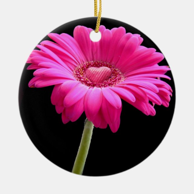 Ornamento De Cerâmica Gerbera Daisy Rosa Quente (Frente)