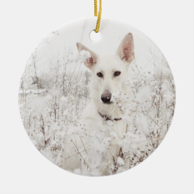 Ornamento De Cerâmica German shepherd branco na neve (Frente)
