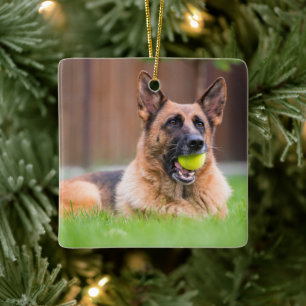 Ornamento De Cerâmica German shepherd Com Bola De Tênis