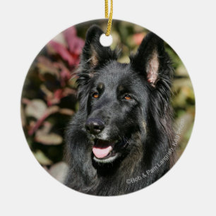 Ornamento De Cerâmica German shepherd de cabelos compridos preto